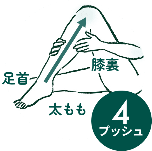 足首から膝裏、太ももへ向かって両手で押し上げる（4プッシュ）