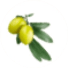サフラワーオイル、オリーブオイル