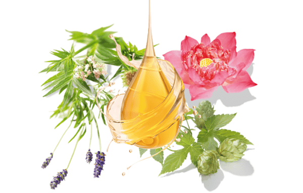 植物の香り豊かな天然エッセンシャルオイル