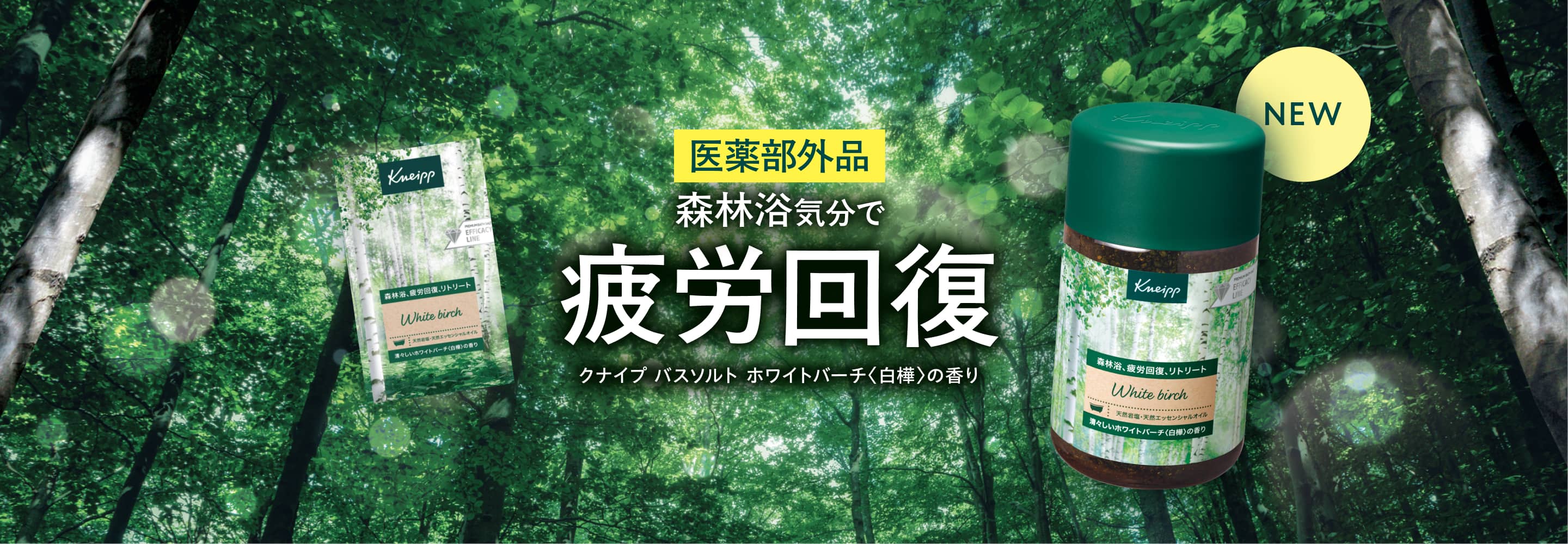 White Birch MV